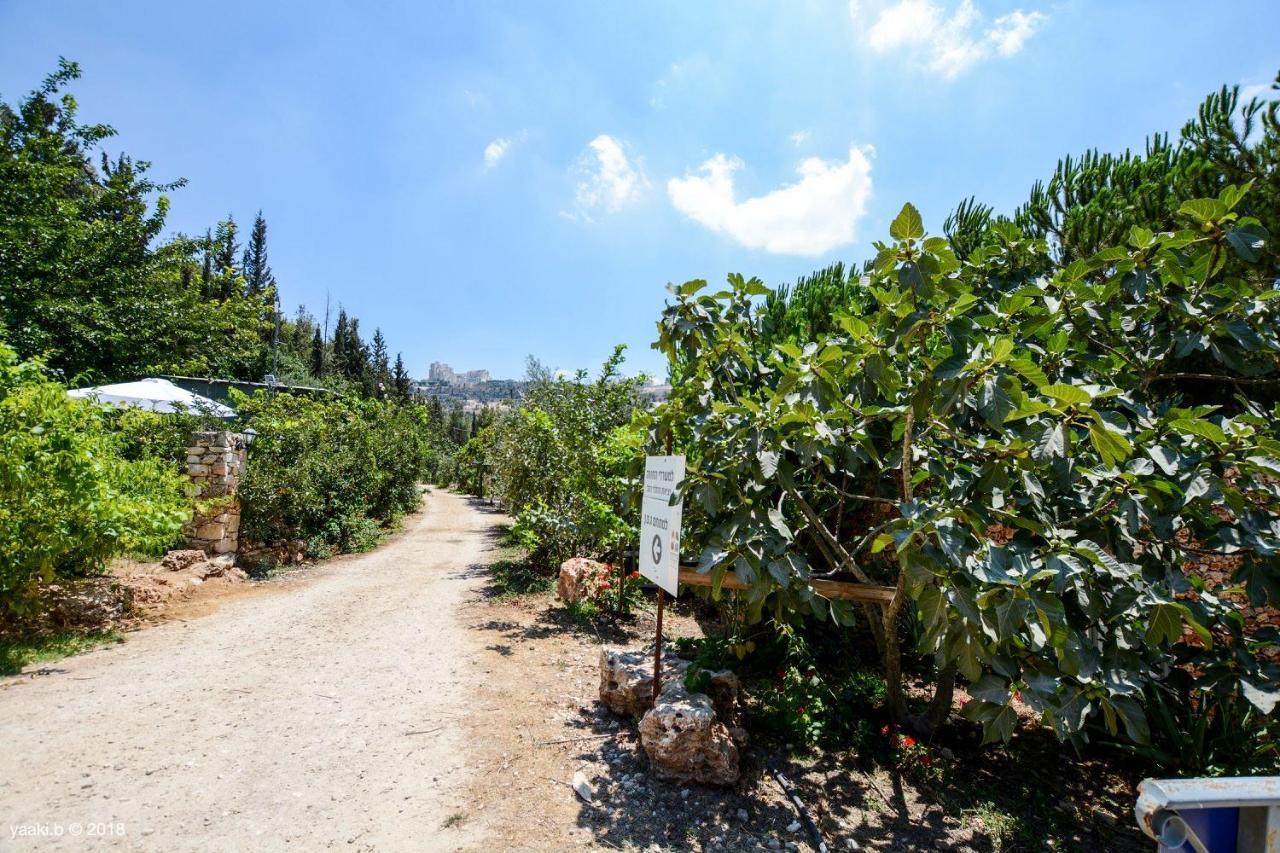 Tur Sinai Organic Farm Resort Jerusalem Exteriör bild